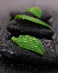 Picture for Hypnotherapy - Premier Investment package